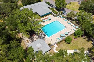 3067 Pointer Dr, Palm Harbor, FL 34683 - Photo 8