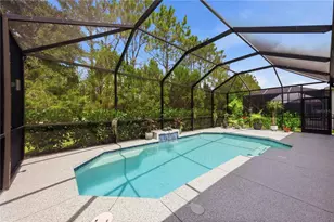 4427 Renwick Dr, Parrish, FL 34219 - Photo 48