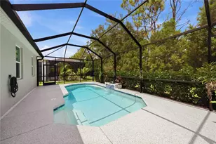 4427 Renwick Dr, Parrish, FL 34219 - Photo 46