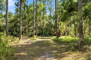 6950 El Dorado Dr, Sarasota, FL 34240 - Photo 92