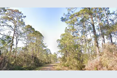 1054 Robin Street, Lake Placid, FL 33852 - Photo 4