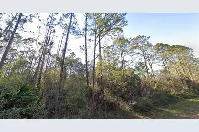1054 Robin Street, Lake Placid, FL 33852 - Photo 2