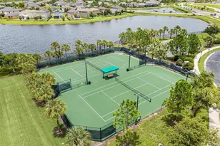 9823 Lemon Drop Loop, Ruskin, FL 33573 - Photo 56