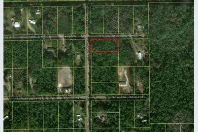 2515 Beech Boulevard, Bunnell, FL 32110 - Photo 2