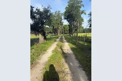 Parcel "A" Cr 543, Sumterville, FL 33585 - Photo 1