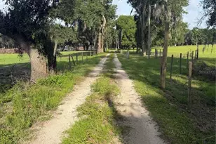 Parcel "B" Cr 543, Sumterville, FL 33585 - Photo 1
