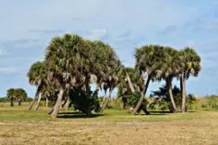 21117 NW 276th St, Okeechobee, FL 34972 - Photo 1