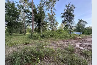 Cr 49, Live Oak, FL 32060 - Photo 10