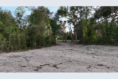 Cr 49, Live Oak, FL 32060 - Photo 56
