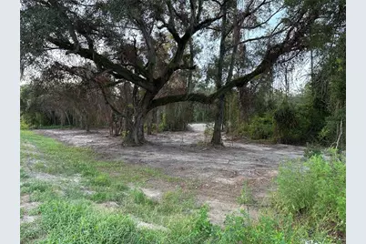 Cr 49, Live Oak, FL 32060 - Photo 2
