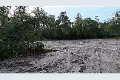 Cr 49, Live Oak, FL 32060 - Photo 60
