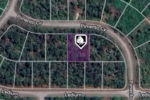 Lot 4 Pimento Circle, North Port, FL 34288 - Photo 1
