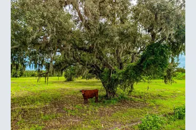 26207 39th Place E, Myakka City, FL 34251 - Photo 18