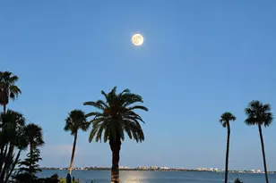 988 Boulevard of the Arts, Sarasota, FL 34236 - Photo 10