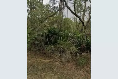 [Address not provided], Interlachen, FL 32148 - Photo 1