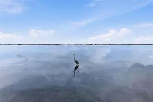 3844 Catalina Dr, Bradenton, FL 34210 - Photo 50
