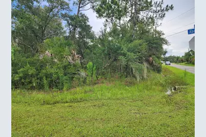 Abelson Avenue, North Port, FL 34291 - Photo 4