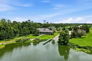 10741 Osprey Landing Way, Thonotosassa, FL 33592 - Photo 54