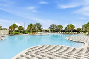 12272 High Rock Wy, Parrish, FL 34219 - Photo 54