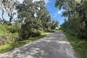 10305 Revell Rd, Parrish, FL 34219 - Photo 34