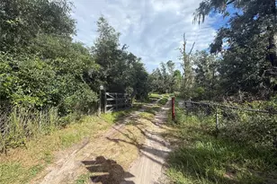 10305 Revell Rd, Parrish, FL 34219 - Photo 14