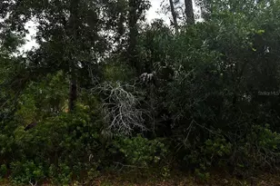 Loffreda Ave, North Port, FL 34291 - Photo 1