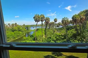 4640 Willet Cooper Ct, Tampa, FL 33619 - Photo 8