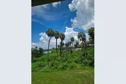 4640 Willet Cooper Court, Tampa, FL 33619 - Photo 24