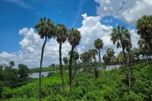 4640 Willet Cooper Ct, Tampa, FL 33619 - Photo 24