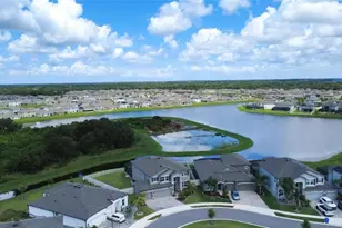 3195 King Fern Dr, Wimauma, FL 33598 - Photo 90