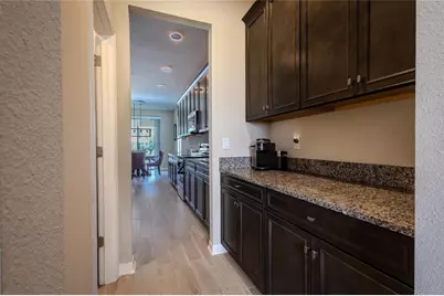 3195 King Fern Drive, Wimauma, FL 33598 - Photo 72