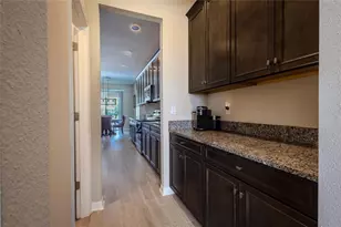 3195 King Fern Dr, Wimauma, FL 33598 - Photo 72