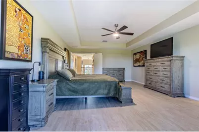 3195 King Fern Drive, Wimauma, FL 33598 - Photo 38