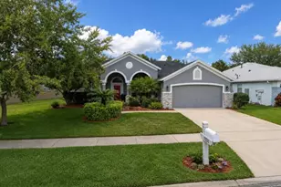 1131 Evening Trail Dr, Wesley Chapel, FL 33543 - Photo 1