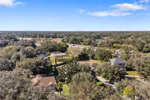 1542 McCrea Dr, Lutz, FL 33549 - Photo 94