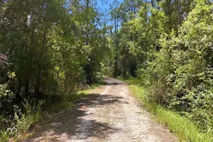 41250 Sr-64 E, Myakka City, FL 34251 - Photo 16