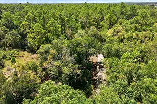 41250 Sr-64 E, Myakka City, FL 34251 - Photo 10