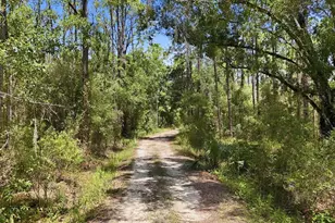 41250 Sr-64 E, Myakka City, FL 34251 - Photo 14