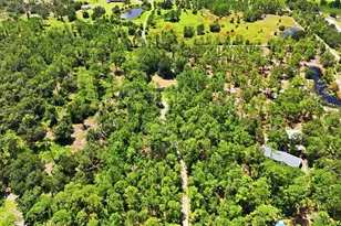 41250 Sr-64 E, Myakka City, FL 34251 - Photo 8