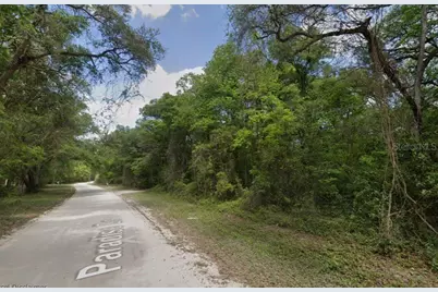 Ne 644th Ave, Old Town, FL 32680 - Photo 1