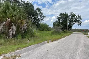 852 Shirley St, Sebring, FL 33870 - Photo 24