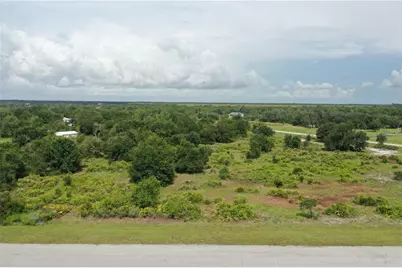 40710 11th Avenue E, Myakka City, FL 34251 - Photo 4