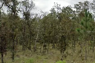NE 11th St, Williston, FL 32696 - Photo 1