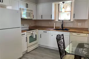 31 W Oakwood St, Tarpon Springs, FL 34689 - Photo 2