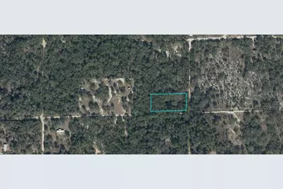 Ne 85th Street, Bronson, FL 32621 - Photo 6
