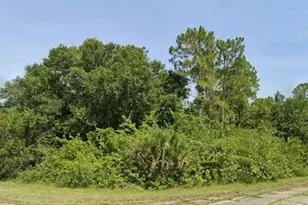 Flambeau Ave, North Port, FL 34288 - Photo 1