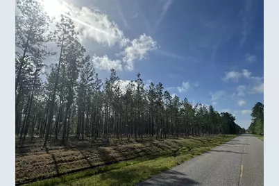 NeÂ 198th Ave, Lake Butler, FL 32054 - Photo 2