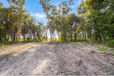 Gill Road, Myakka City, FL 34251 - Photo 8