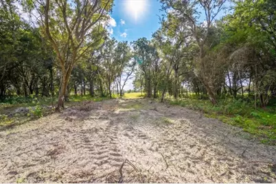 Gill Road, Myakka City, FL 34251 - Photo 12
