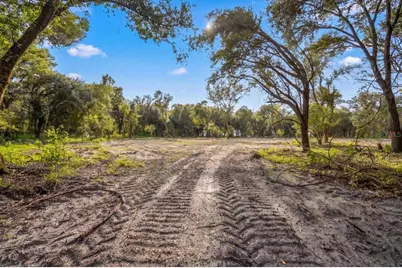 Gill Road, Myakka City, FL 34251 - Photo 4